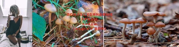 ALPHA-PVP Богданович